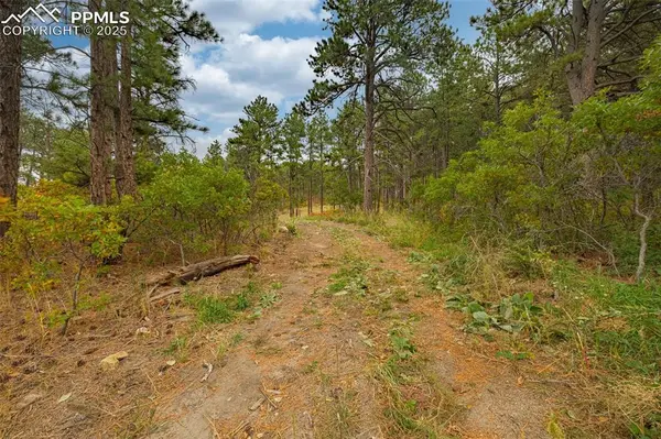 14420 S Perry Park RD, Larkspur, CO 80118