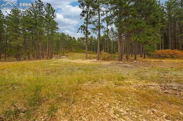 14420 S Perry Park RD, Larkspur, CO 80118