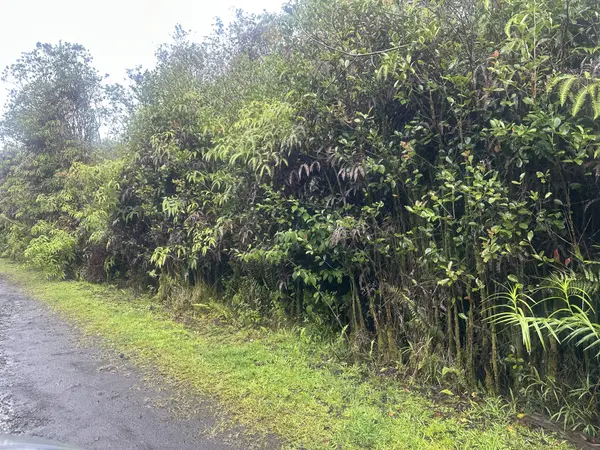 PALM TREE DR, Mountain View, HI 96771