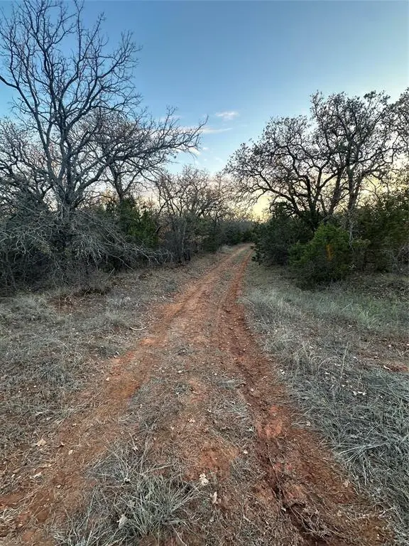 TBD Thomas 80 Ranch, Bangs, TX 76823