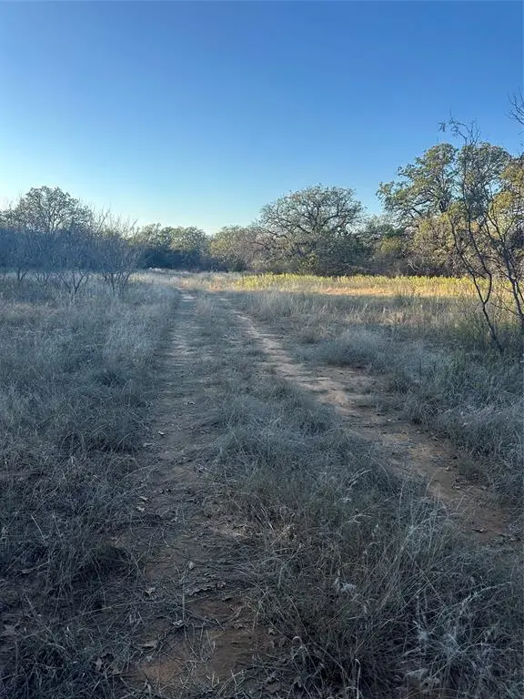 TBD #1 County Road 139, Bangs, TX 76823