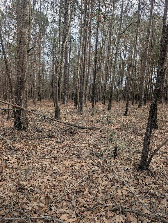 0 CR 3427, Hawkins, TX 75765