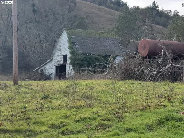 Myrtle Creek, OR 97457,161 Vintage LN