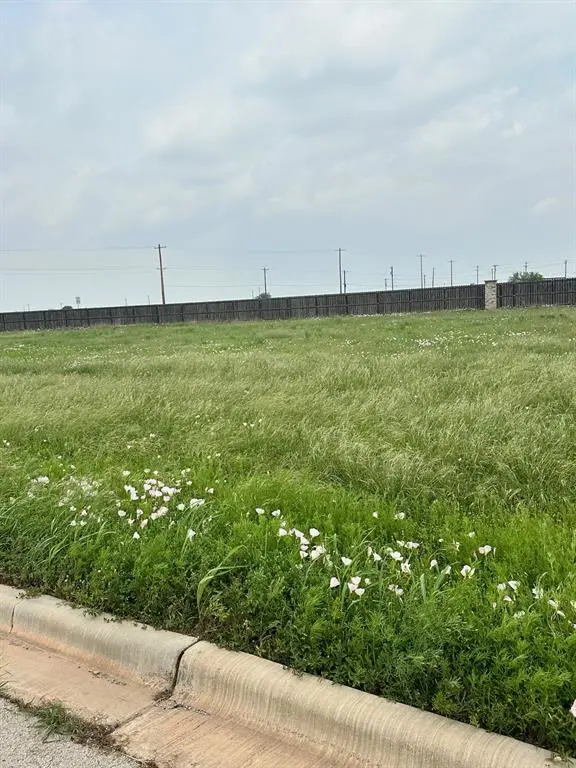 142 Ashley Drive, Tuscola, TX 79562