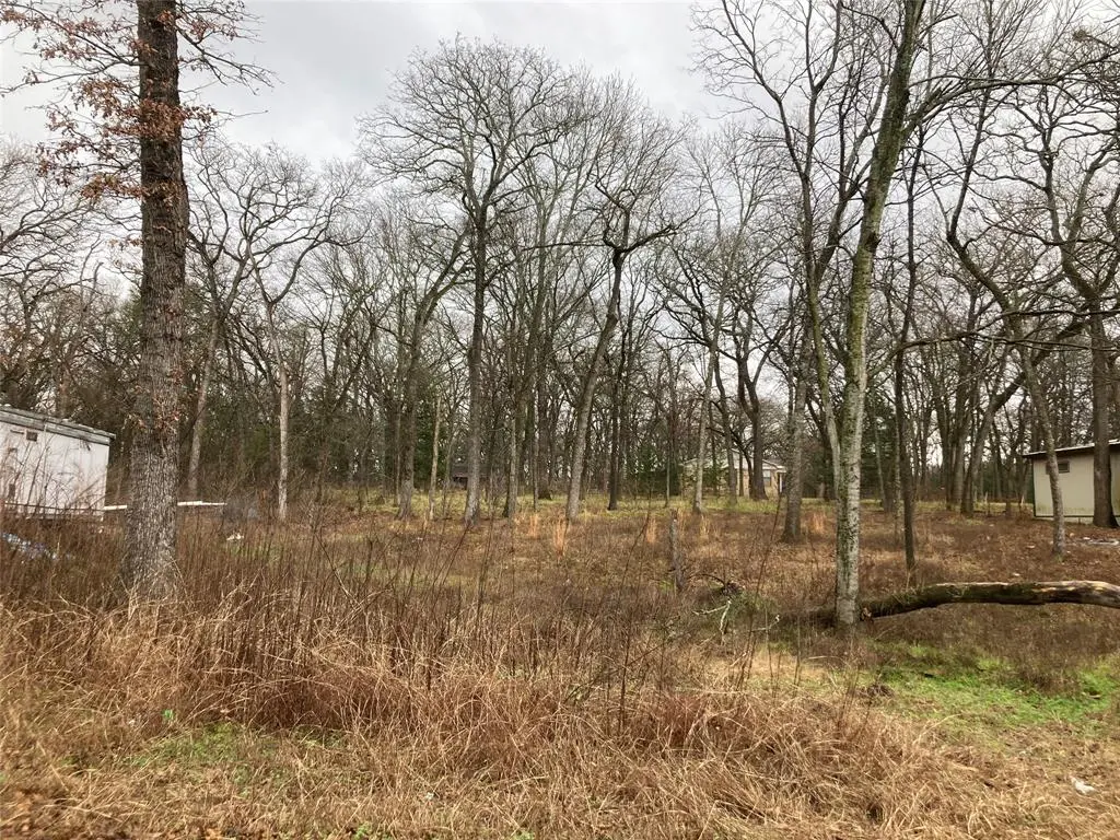 TBD Flud Road, Kemp, TX 75143