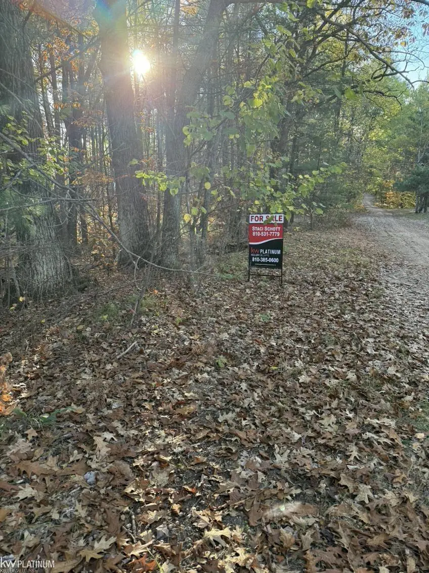 00 Park NE DR, Bear Lake Twp, MI 49646