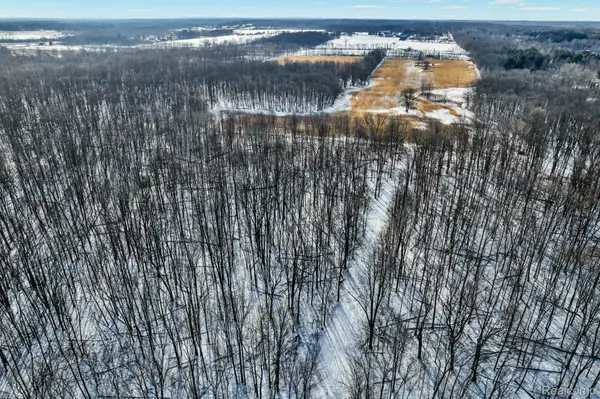 3766 Payne RD, Attica Township, MI 48412