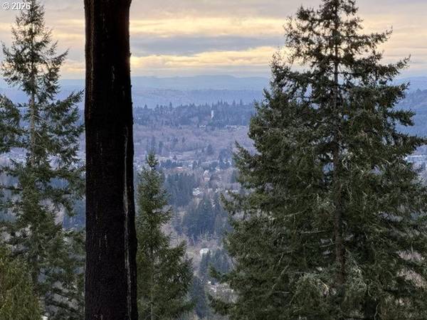 255 ASTRO DR, Kelso, WA 98626