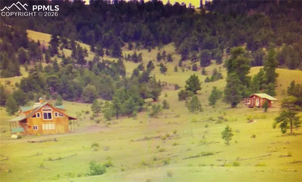 79 Quail CT, Hartsel, CO 80449