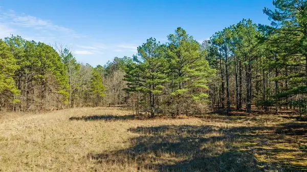 TBD #2 County Road 2237, Bagwell, TX 75412