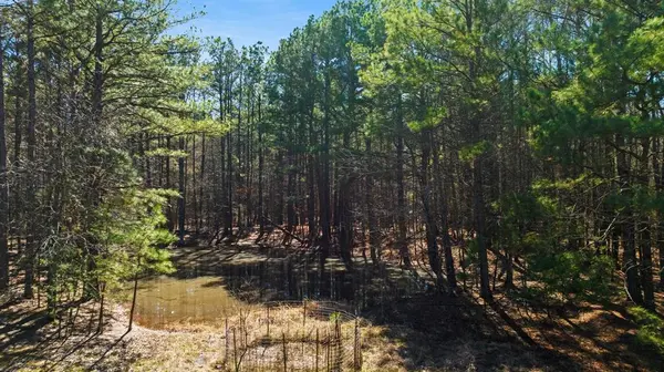 TBD County Road 2237, Bagwell, TX 75412