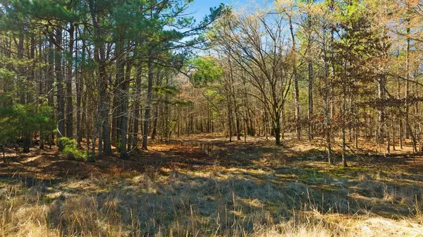 TBD County Road 2237, Bagwell, TX 75412