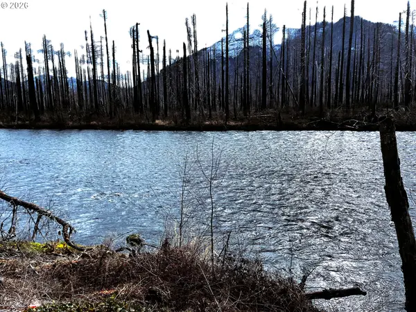 Blue River, OR 97413,52633 MCKENZIE HWY