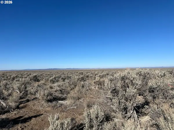 Christmas Valley, OR 97641,S Fandango RD #200,100