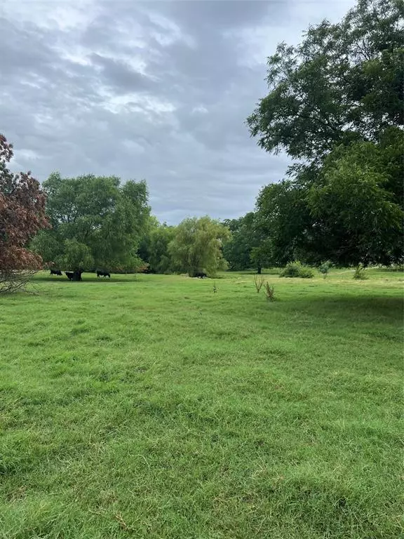 Boyd, TX 76023,TBD Abel Lane