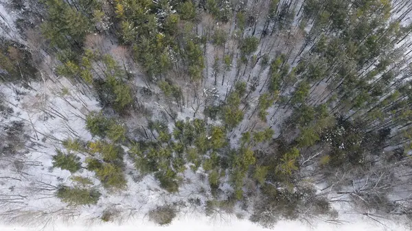 77928 Porters Hill Line, Central Huron, ON N7A 3X8