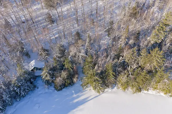 1107 Crane Lake RD, Algonquin Highlands, ON P0A 1E0