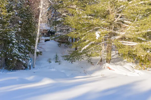 1107 Crane Lake RD, Algonquin Highlands, ON P0A 1E0