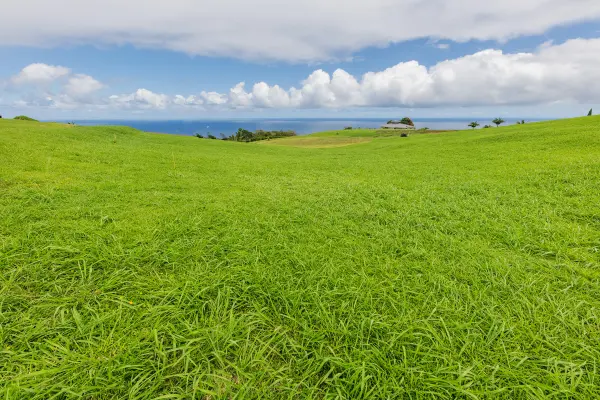 36-3358 KUWILI LANI PL, Laupahoehoe, HI 96764