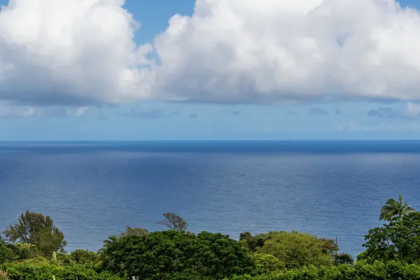 36-3358 KUWILI LANI PL, Laupahoehoe, HI 96764