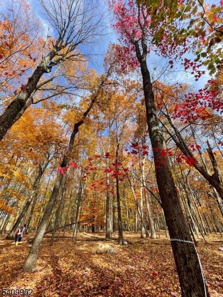 924 Middleville Rd, Stillwater Twp., NJ 07860