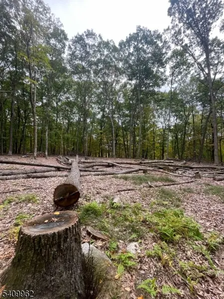 924 Middleville Rd, Stillwater Twp., NJ 07860