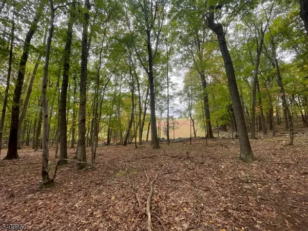 924 Middleville Rd, Stillwater Twp., NJ 07860