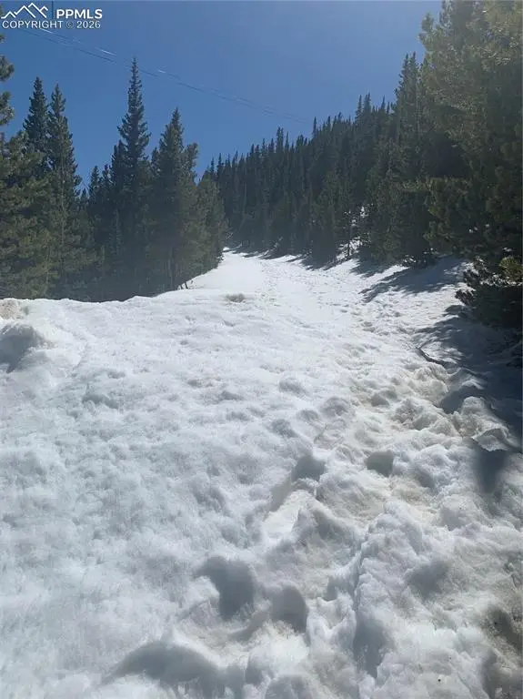 Hilltop RD, Idaho Springs, CO 80452