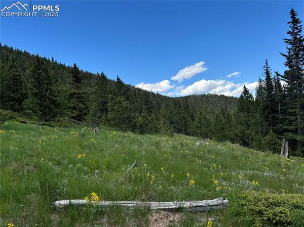 Hilltop RD, Idaho Springs, CO 80452