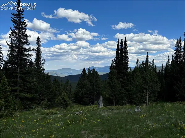 Hilltop RD, Idaho Springs, CO 80452