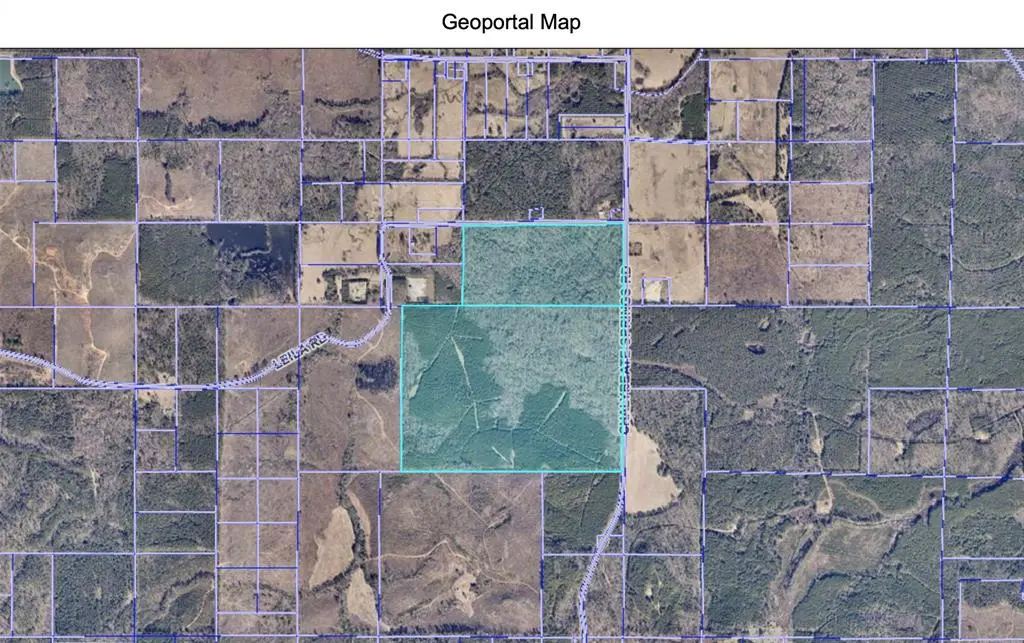 0 Chalybeate Spring Road, Plain Dealing, LA 71064