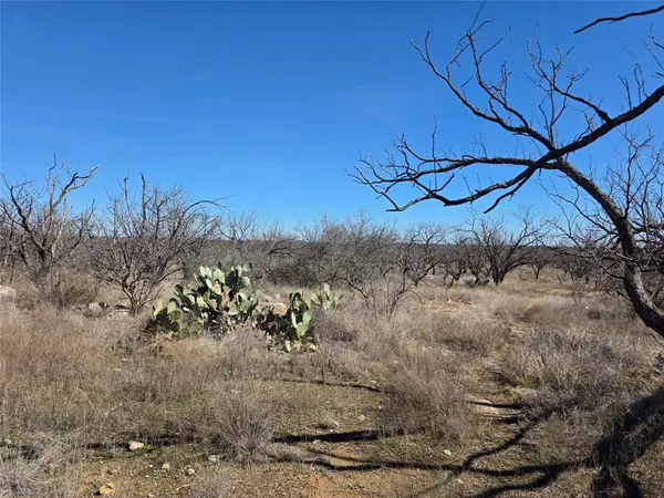 1709 County Road 330, Voss, TX 76888