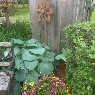 3322 Cedar Grove RD, Edwardsburgh/cardinal, ON K0E 1T1