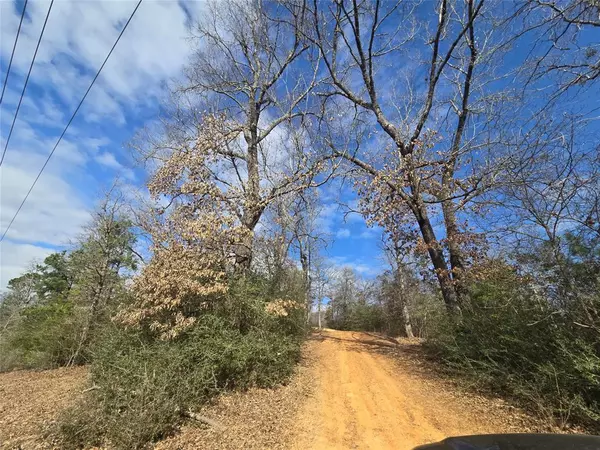 Big Sandy, TX 75755,12787 Fm 1002 S