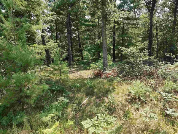 Lot 186 Winterset DR, Moffatt Twp, MI 48610