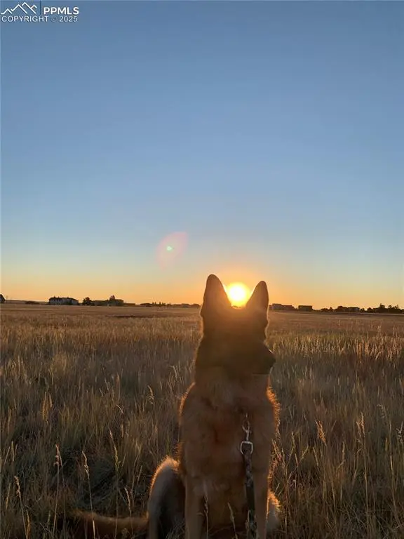 24950 Cave Spring TRL, Elbert, CO 80106