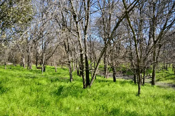 1407 W Maple, Goldthwaite, TX 76844