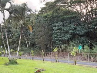 Pahoa, HI 96778