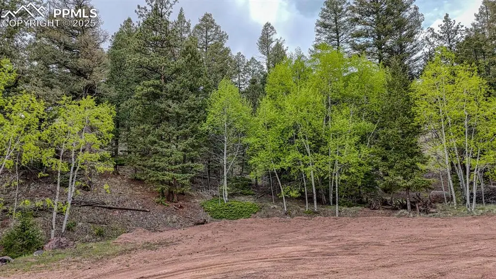 918 Pinon LN, Florissant, CO 80816