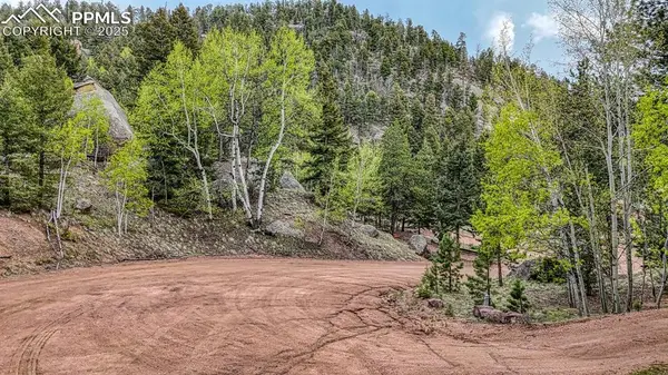 918 Pinon LN, Florissant, CO 80816