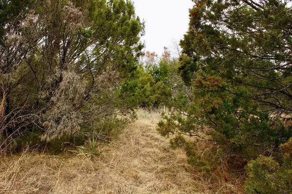 5732 Highland Drive, Granbury, TX 76048