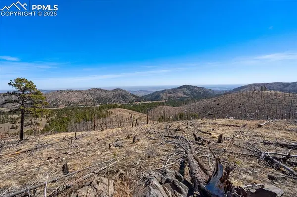 0 Rist Creek RD, Bellvue, CO 80512