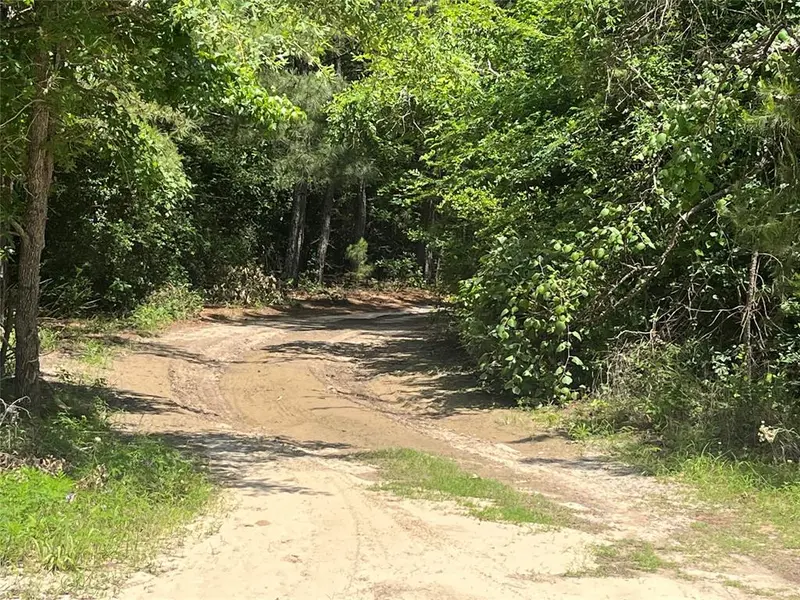 99999 CR 207, Centerville, TX 75833