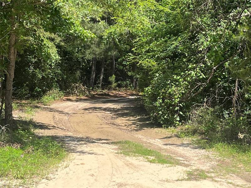 99999 CR 207, Centerville, TX 75833