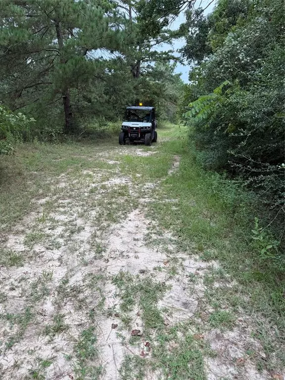 Centerville, TX 75833,99999 CR 207