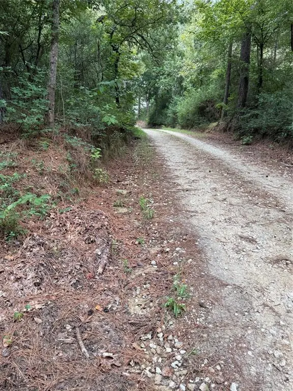 Centerville, TX 75833,99999 CR 207