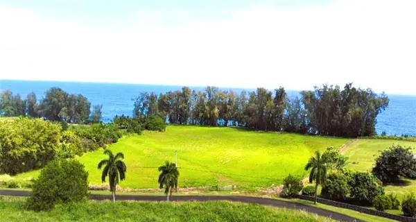 BEACH RD #LOT # 13, Pepeekeo, HI 96783