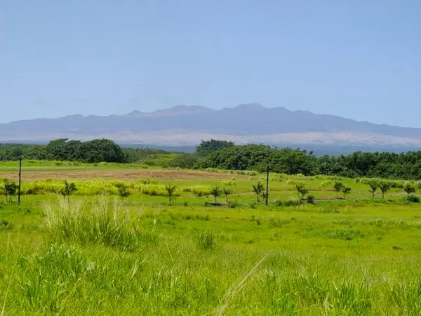 BEACH RD #LOT # 13, Pepeekeo, HI 96783