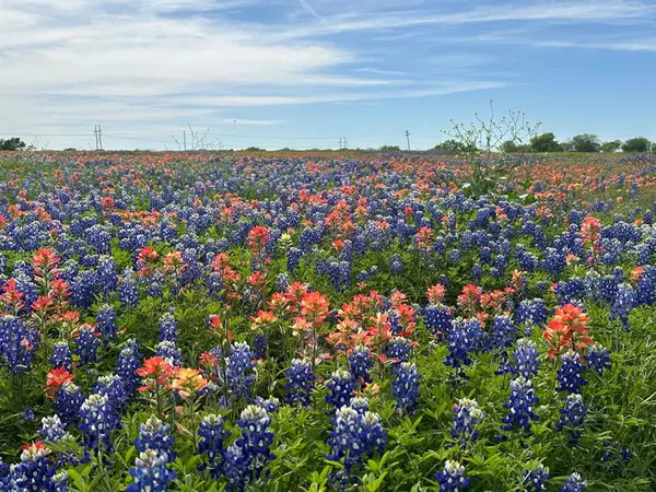 00 Fm-660, Ennis, TX 75119