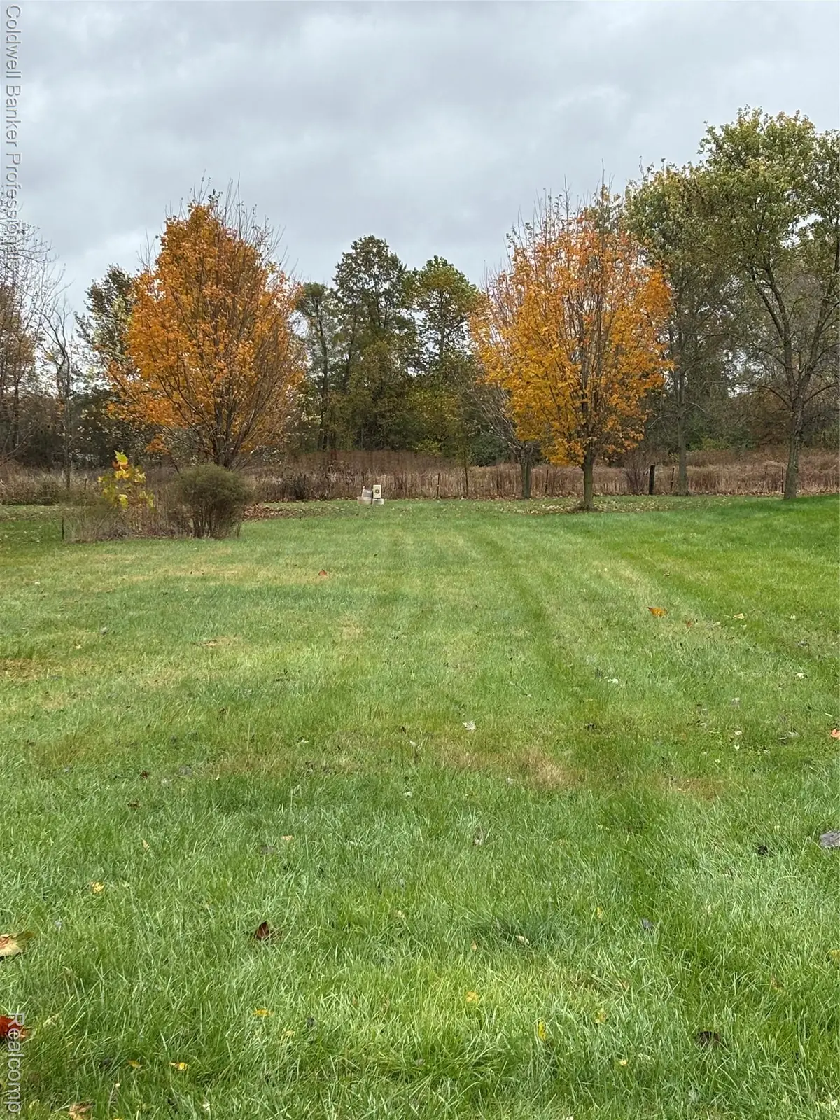 19801 Karr RD, Belleville, MI 48111